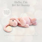 Pink Bunny 16 inch Plush Toy