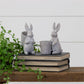 Rabbits With Baskets