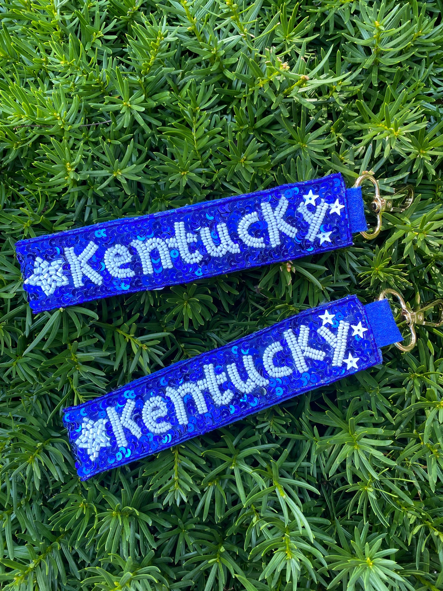 Kentucky Key Chain