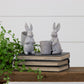 Rabbits With Baskets