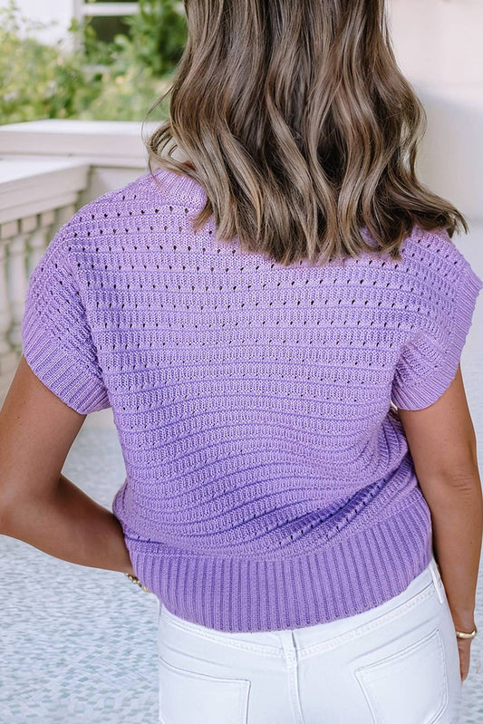 Knit Ribbed Trim Short Sleeve Sweater