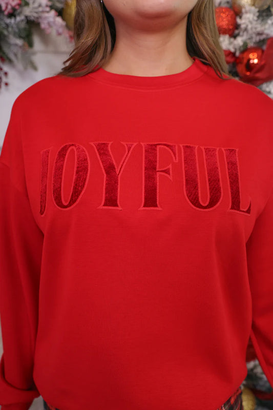 Joyful Velvet Patch Pullover